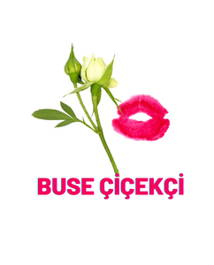 Buse Çiçek - Avcılar - Parseller